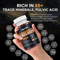 Himalayan Shilajit Gummies — 1000mg, Raspberry, 60ct