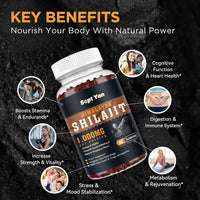 Himalayan Shilajit Gummies — 1000mg, Raspberry, 60ct