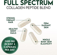 Multi Collagen Pills - Hydrolyzed Collagen Peptides Capsules for Women & Men - Types I, II, III, V, X Multi Collagen Complex - Hair, Skin & Nails Support Supplement - Bottled in the USA - 60 Capsules